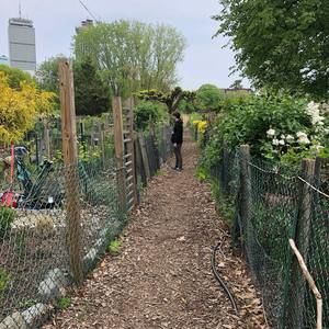 Meet your Posher, Hunter